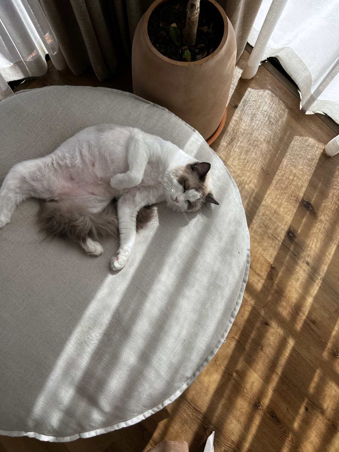 Nest Upholstered Ottoman